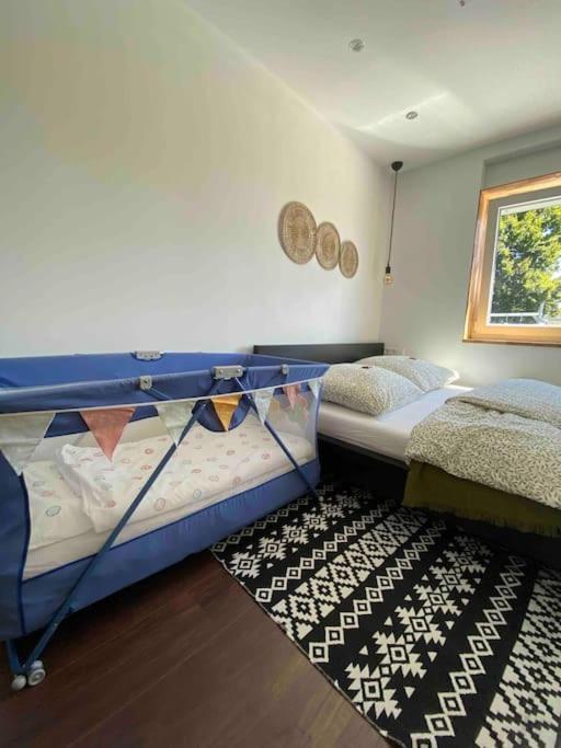 Gemuetliche Wohnung -Schwarzwald Neuweiler  Luaran gambar